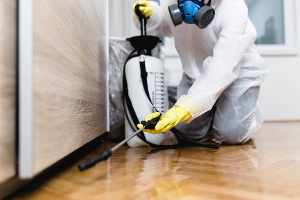 Best Affordable Pest Control Services  in Marcus, IA