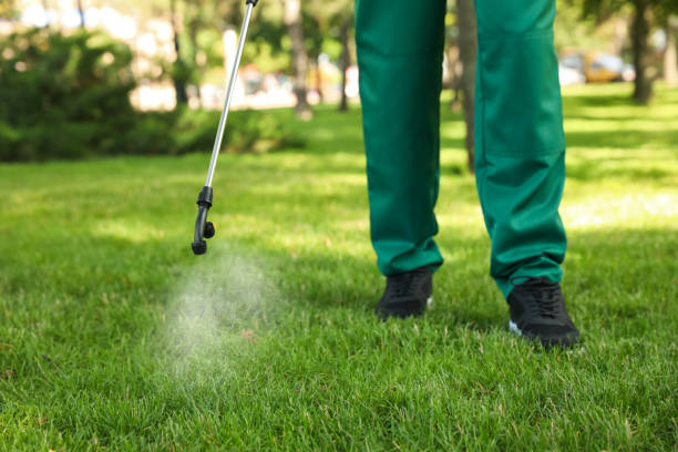Best Local Pest Control Services  in Marcus, IA