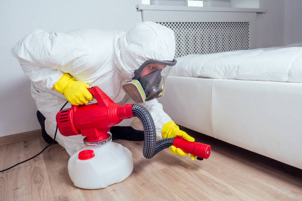 Best Pest Inspection Near Me  in Marcus, IA